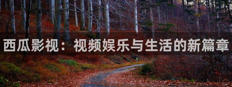1314四虎影视：西瓜影视：视频娱乐与生活的新篇章