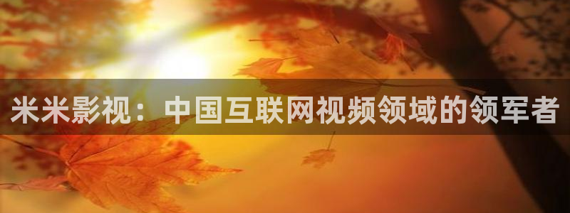 四虎在线免费观看一区二区视频：米米影视：中国互联网视频领域的领军者