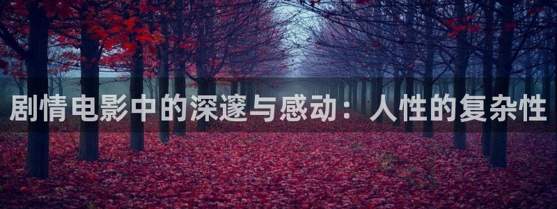 四虎影院高清观看：剧情电影中的深邃与感动：人性的复杂性