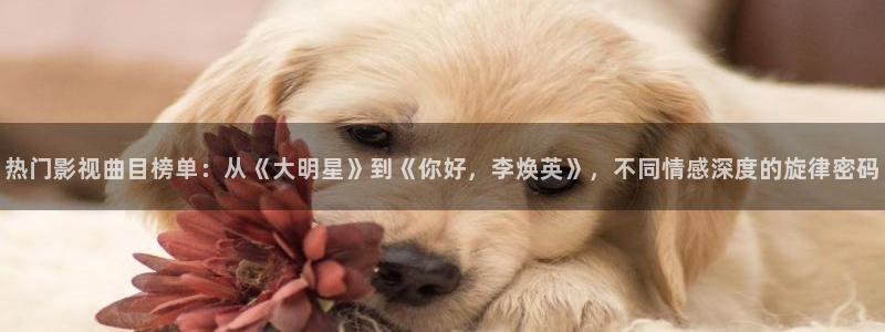 四虎影院在线免费视频：热门影视曲目榜单：从《大明星》到《你好，李焕英》，不同情感深度的旋律密码