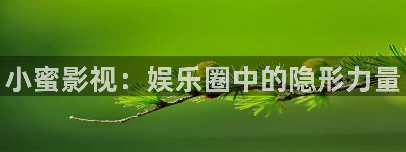 www.四虎影院免费