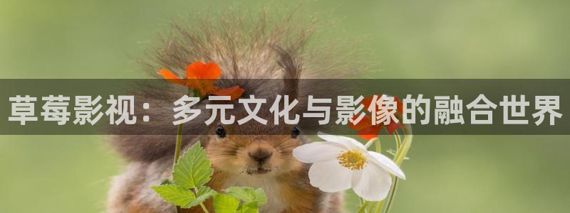 四虎影视4
